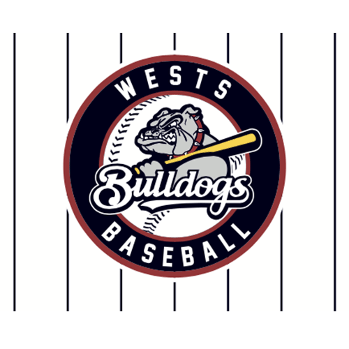 SPECIAL SALE - Div 1 - Pinstripe Jersey - Image 5