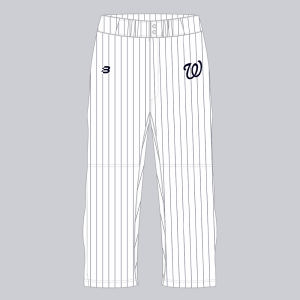 SPECIAL SALE - Div 1 - Pinstripe Pants